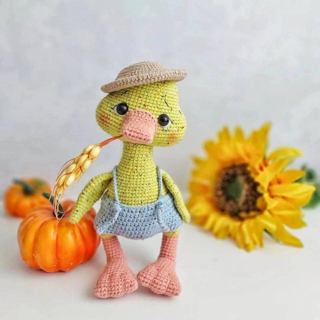 Sweet Amigurumi Duck & Goose