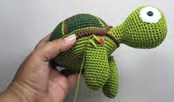 Shelly the Sweet Sea Turtle