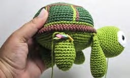 Shelly the Sweet Sea Turtle