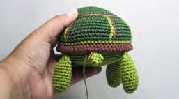 Shelly the Sweet Sea Turtle