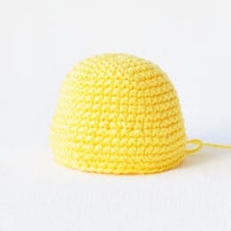Crochet an Adorable Pikachu