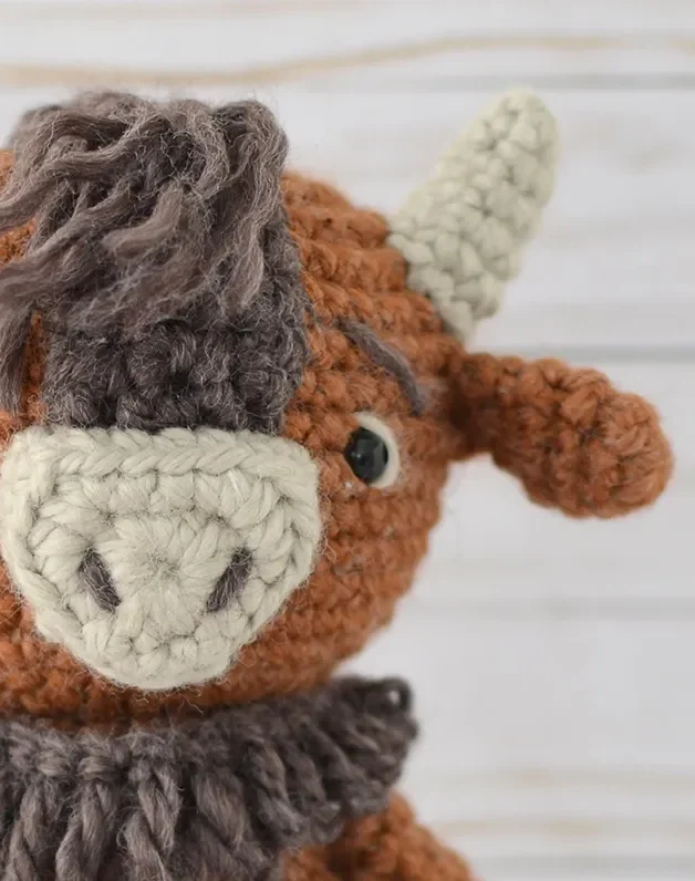 Crochet Cody the Bison:
