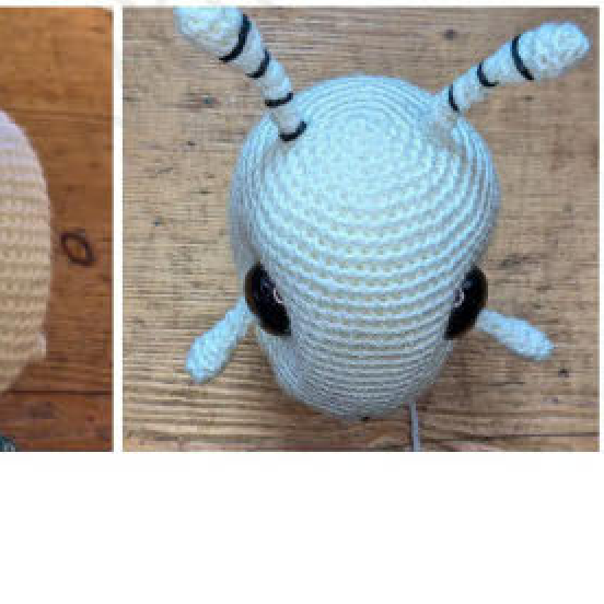 Pinning small tentacles below the eyes on the snail's head