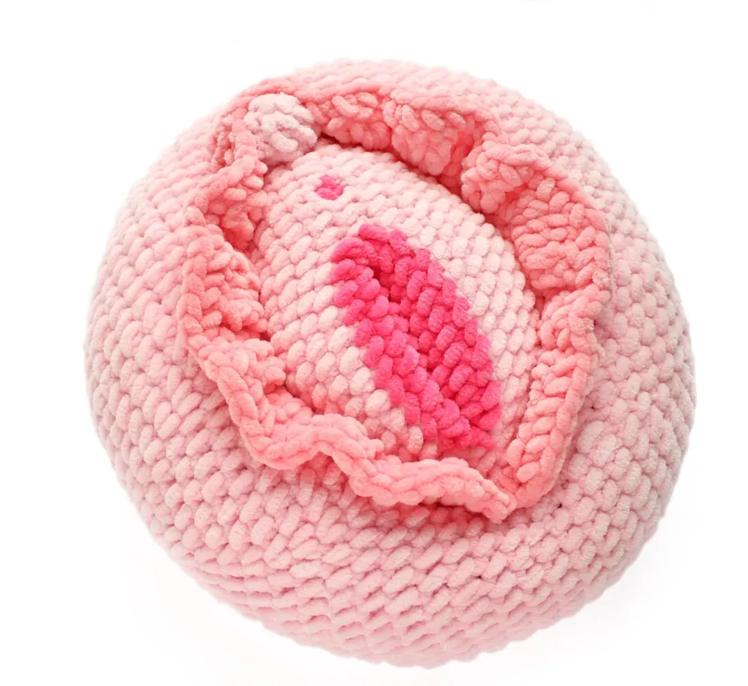 Crochet a Cute Vulva Pillow: Free Amigurumi Pattern for Beginners