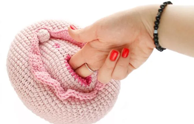 Crochet a Cute Vulva Pillow: Free Amigurumi Pattern for Beginners