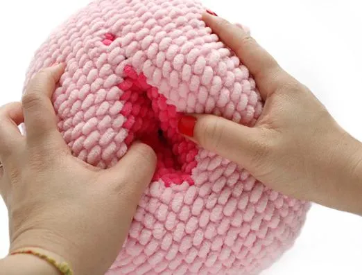 Crochet a Cute Vulva Pillow: Free Amigurumi Pattern for Beginners