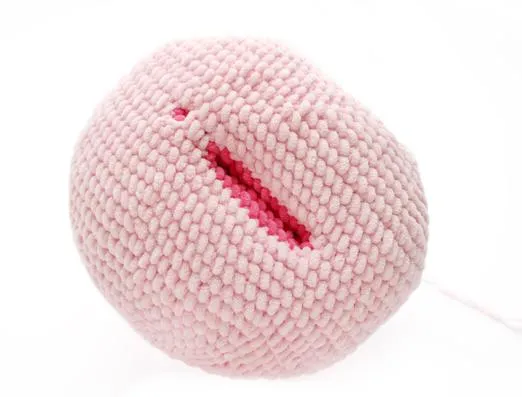 Crochet a Cute Vulva Pillow: Free Amigurumi Pattern for Beginners