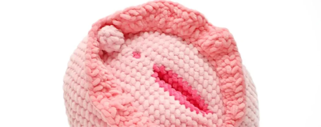 Crochet a Cute Vulva Pillow: Free Amigurumi Pattern for Beginners