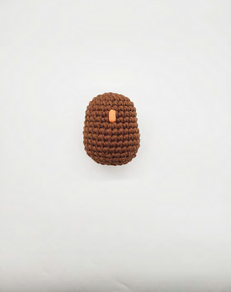 Crochet Darwin the Owl