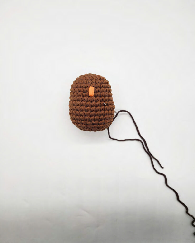 Crochet Darwin the Owl