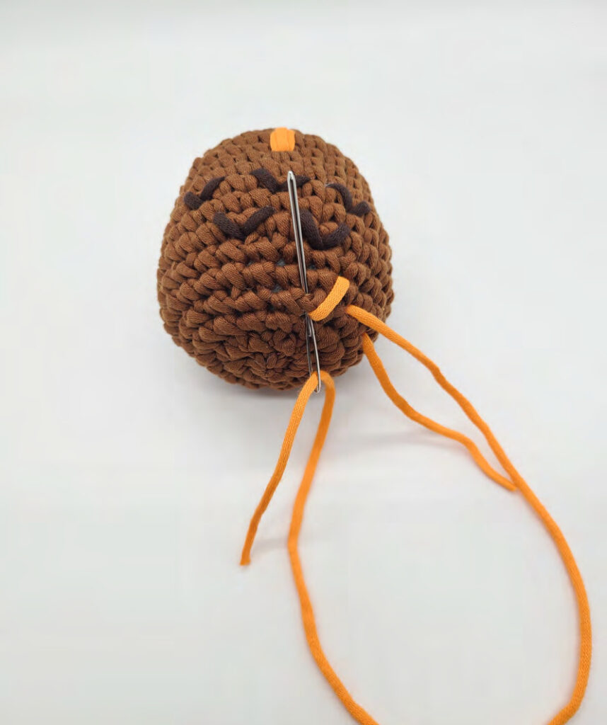 Crochet Darwin the Owl