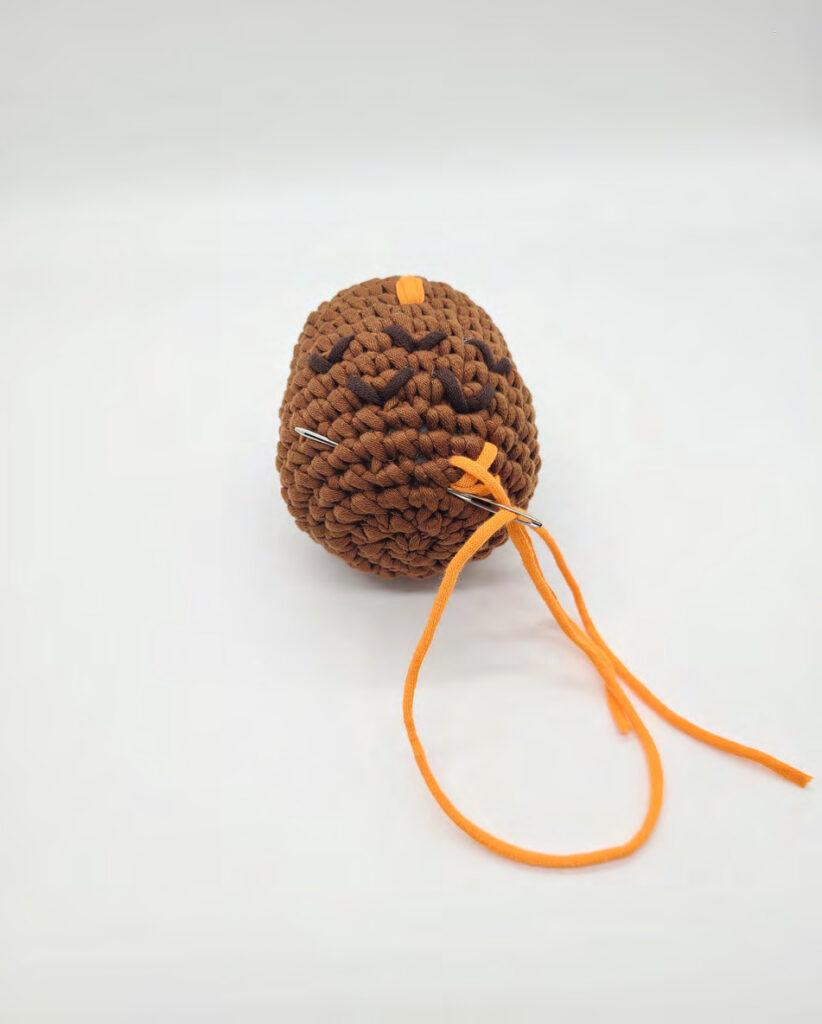 Crochet Darwin the Owl