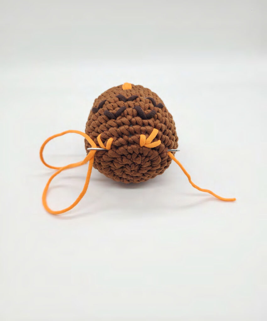 Crochet Darwin the Owl