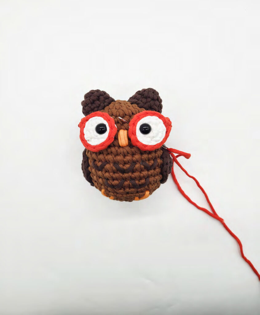 Crochet Darwin the Owl
