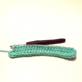Step 3: Working HDC stitches along the opposite side of the foundation chain.